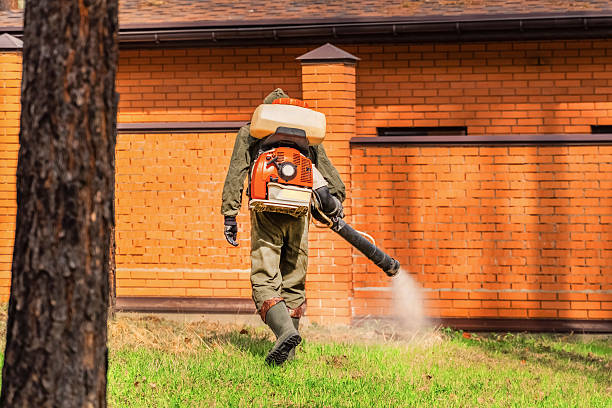 Top rated local Ant Control specialists in Salem, OR